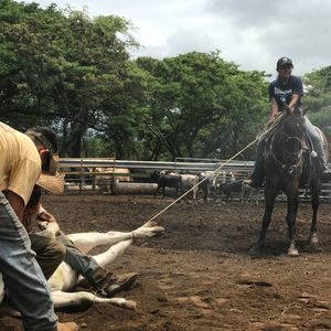 Meet your Posher, Aislynn